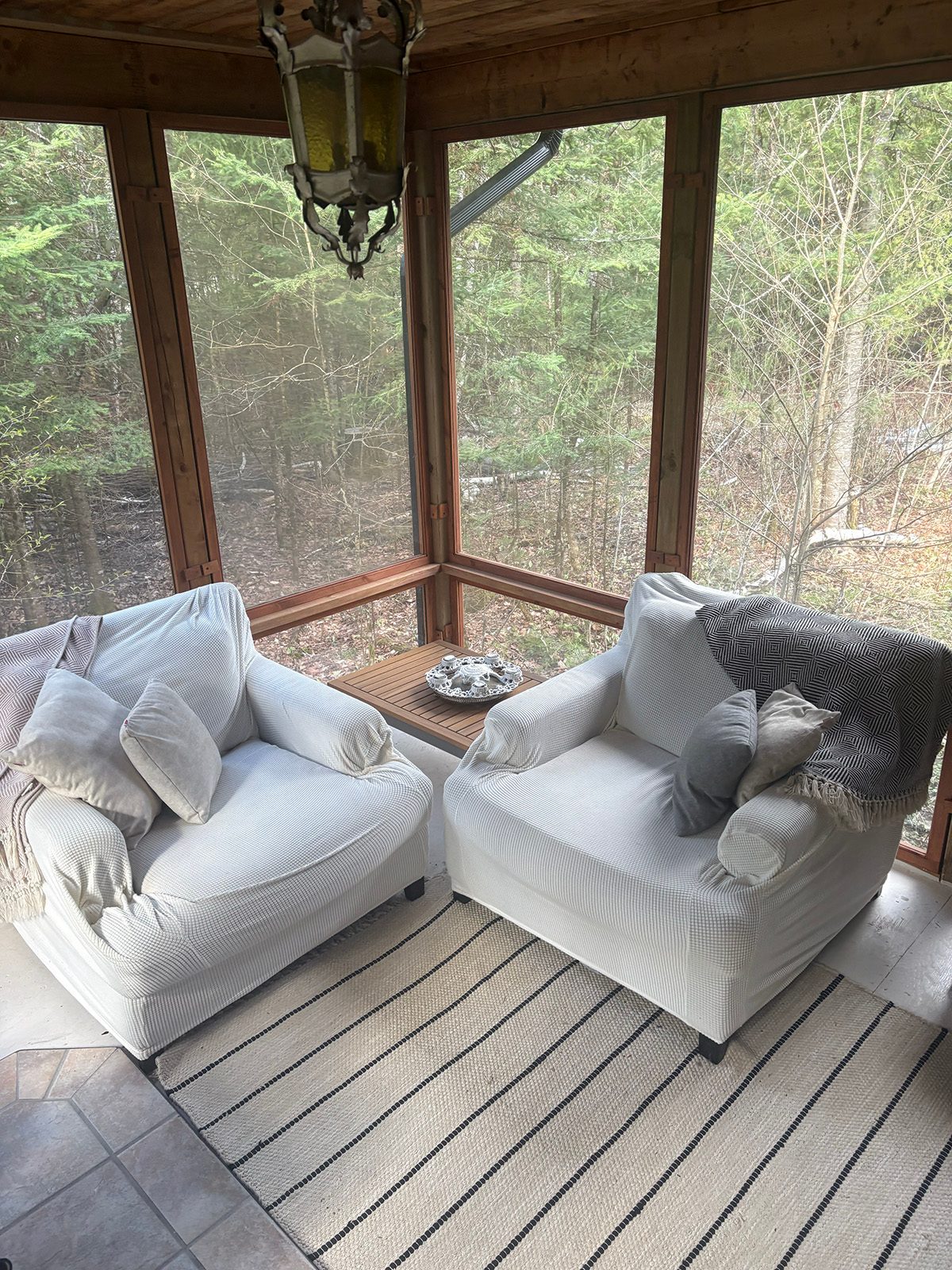 A wooded view outside the therapy space with sunlight filtering through the trees.
